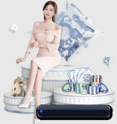 333体育 APP 界面