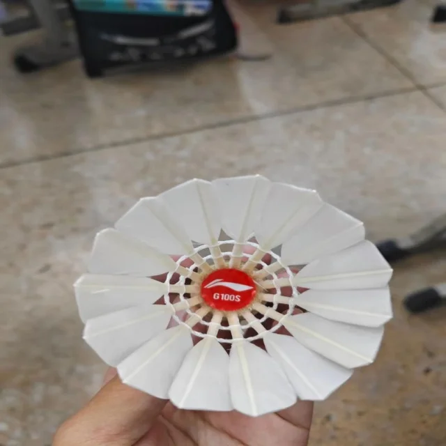 鲁德与蒙卡精彩对战引关注